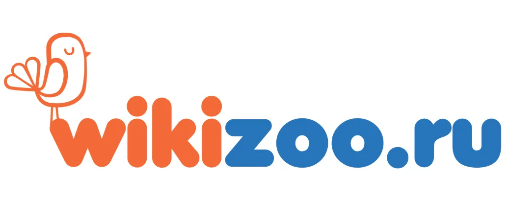  WikiZoo Промокоды