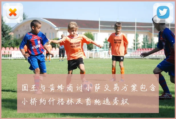 国王与黄蜂商讨小萨交易方案包含小桥约什格林及首轮选秀权