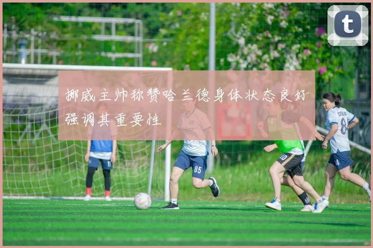 挪威主帅称赞哈兰德身体状态良好强调其重要性